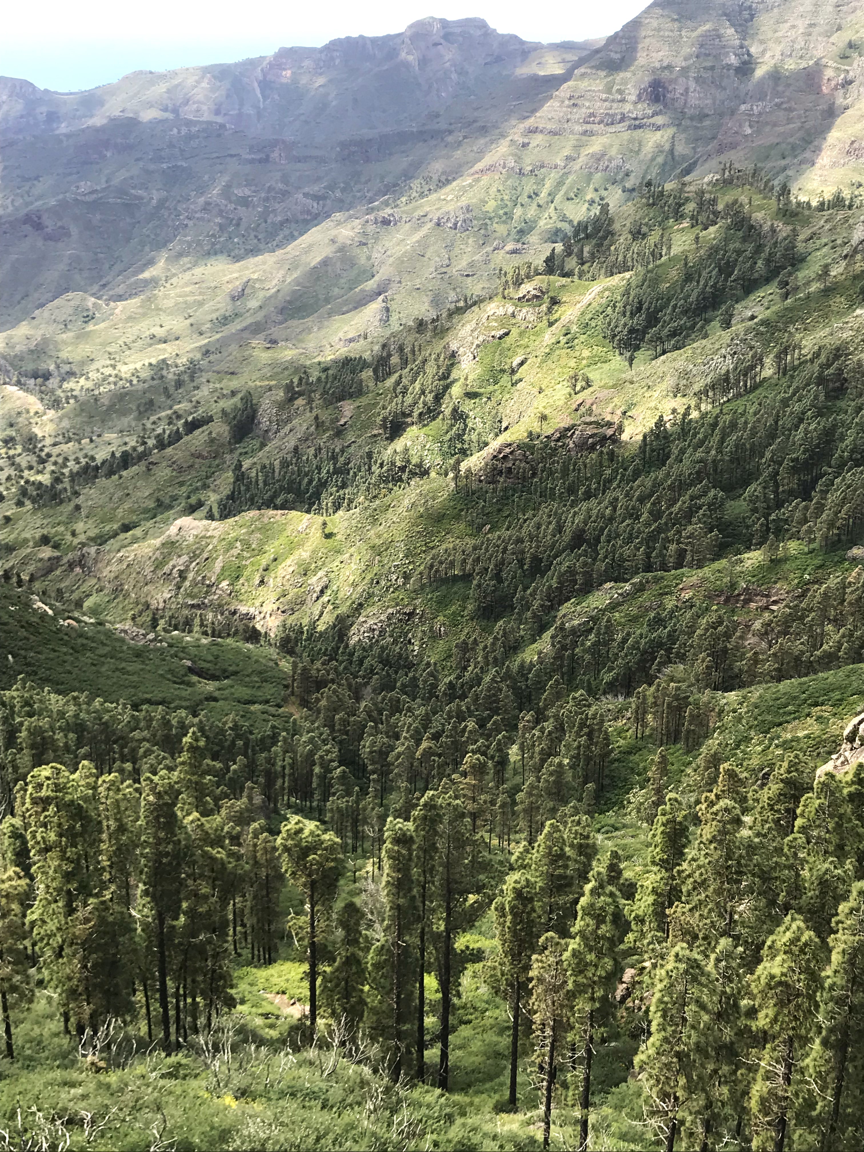 La Gomera